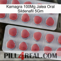 Kamagra 100Mg Oral Jelly Sildenafil 5Gm 19